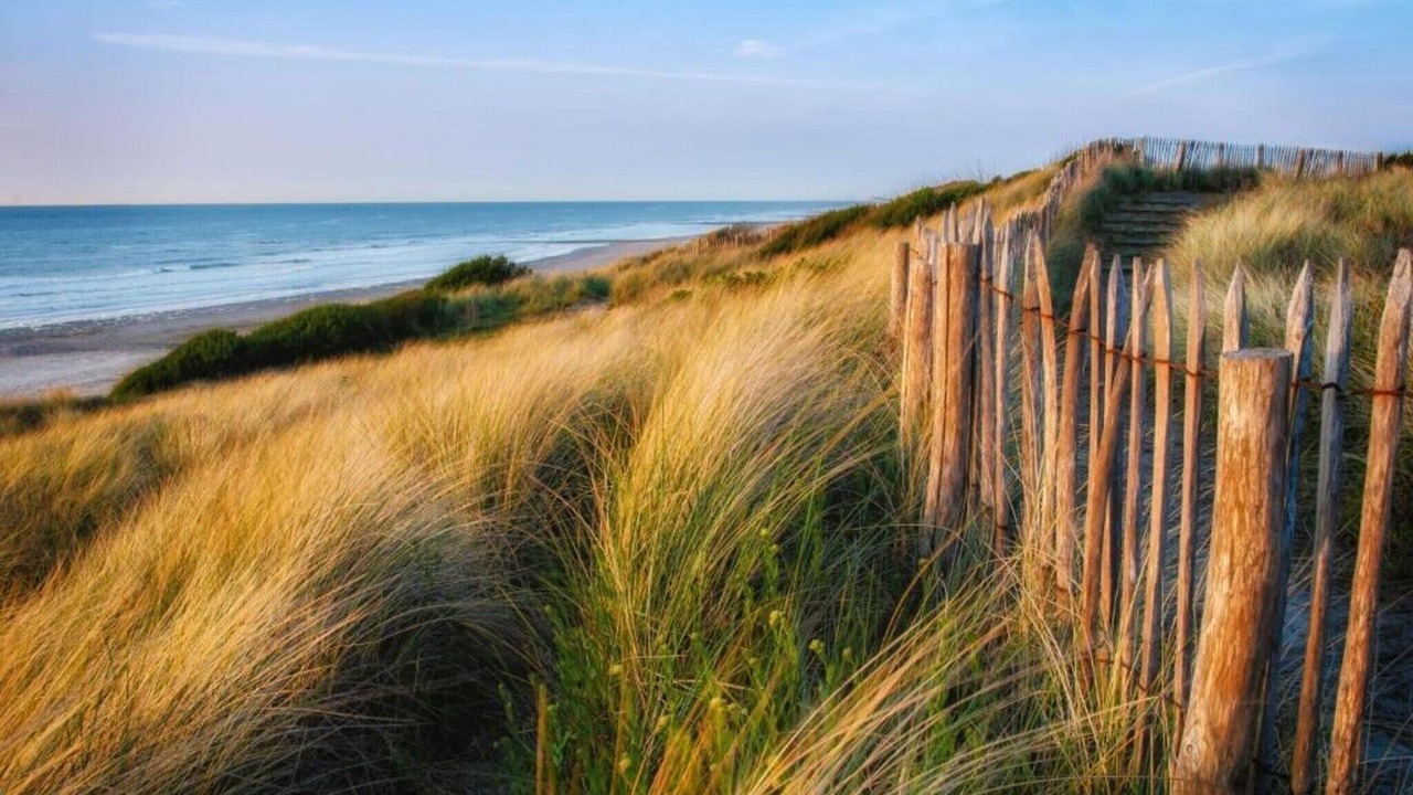 Photo of Others in Bredene