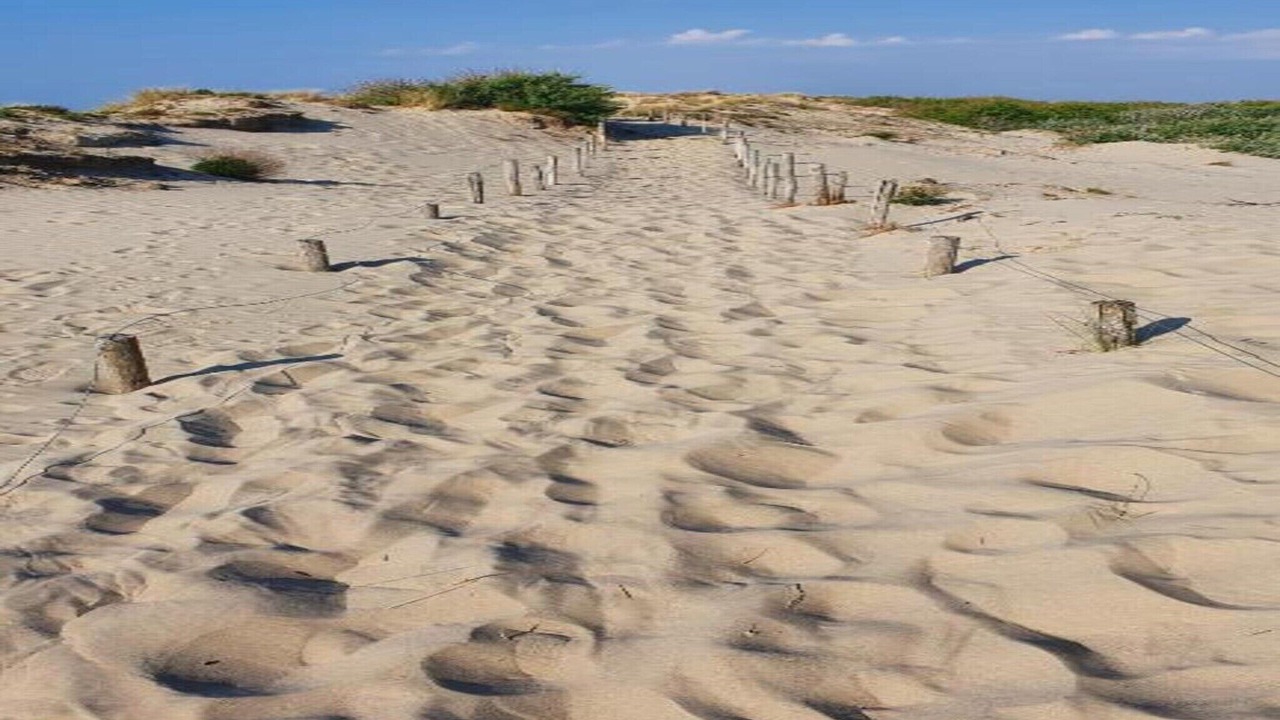 Photo of Others in Bredene