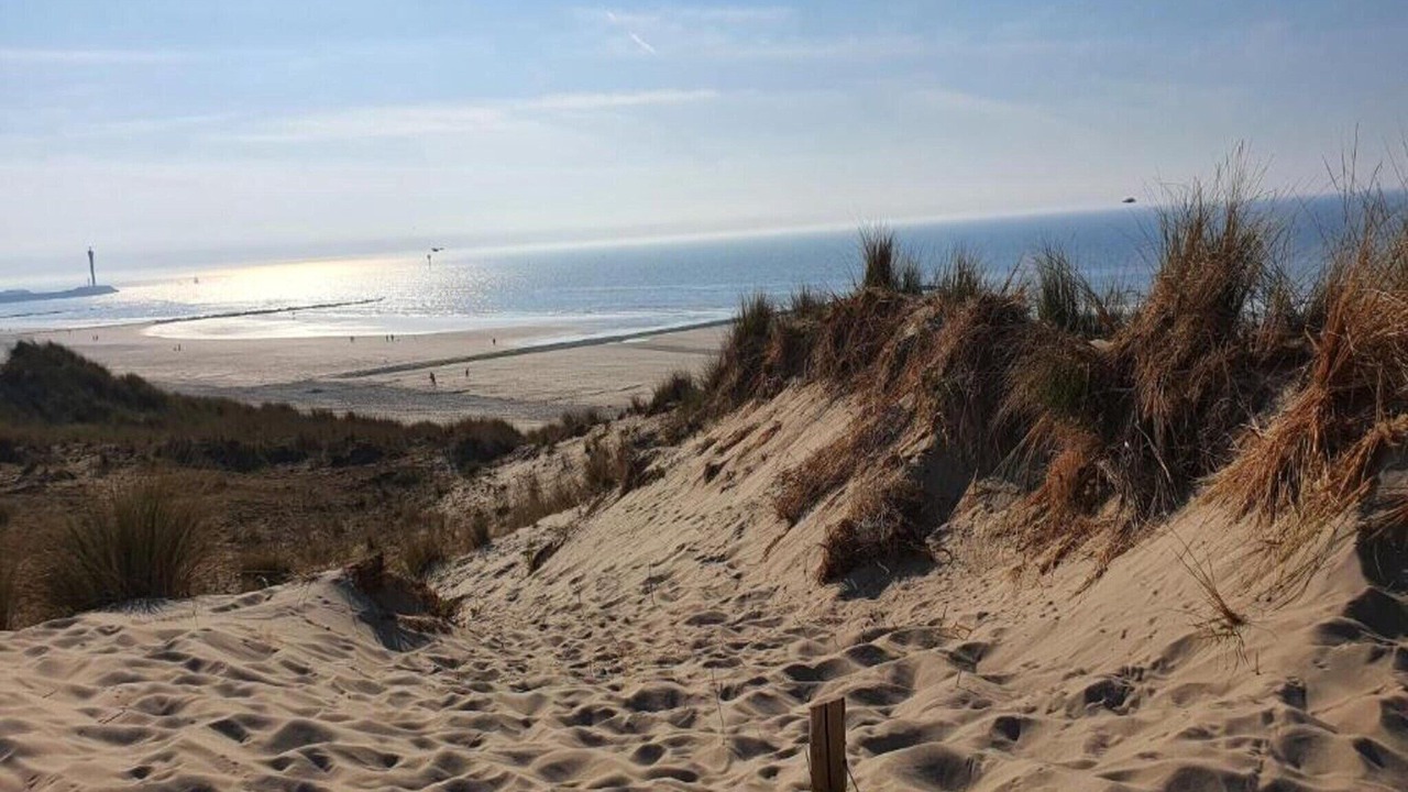 Photo of Others in Bredene