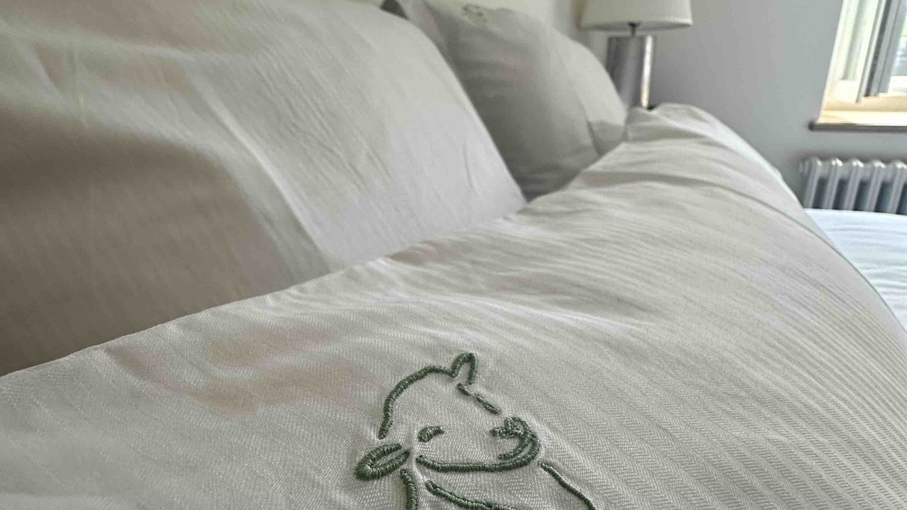 Photo of Bedroom in Pithiverais-Gatinais