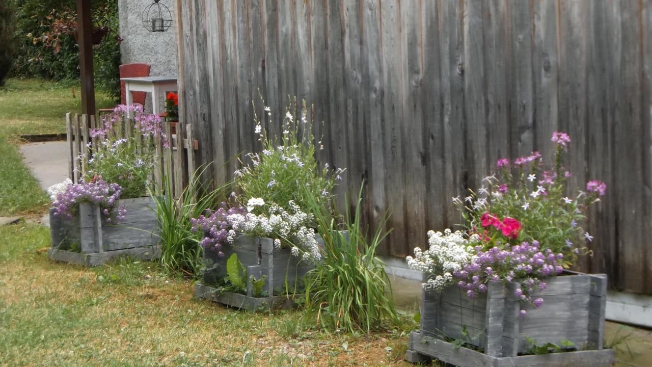 Photo of Outdoor in Entremont-le-Vieux