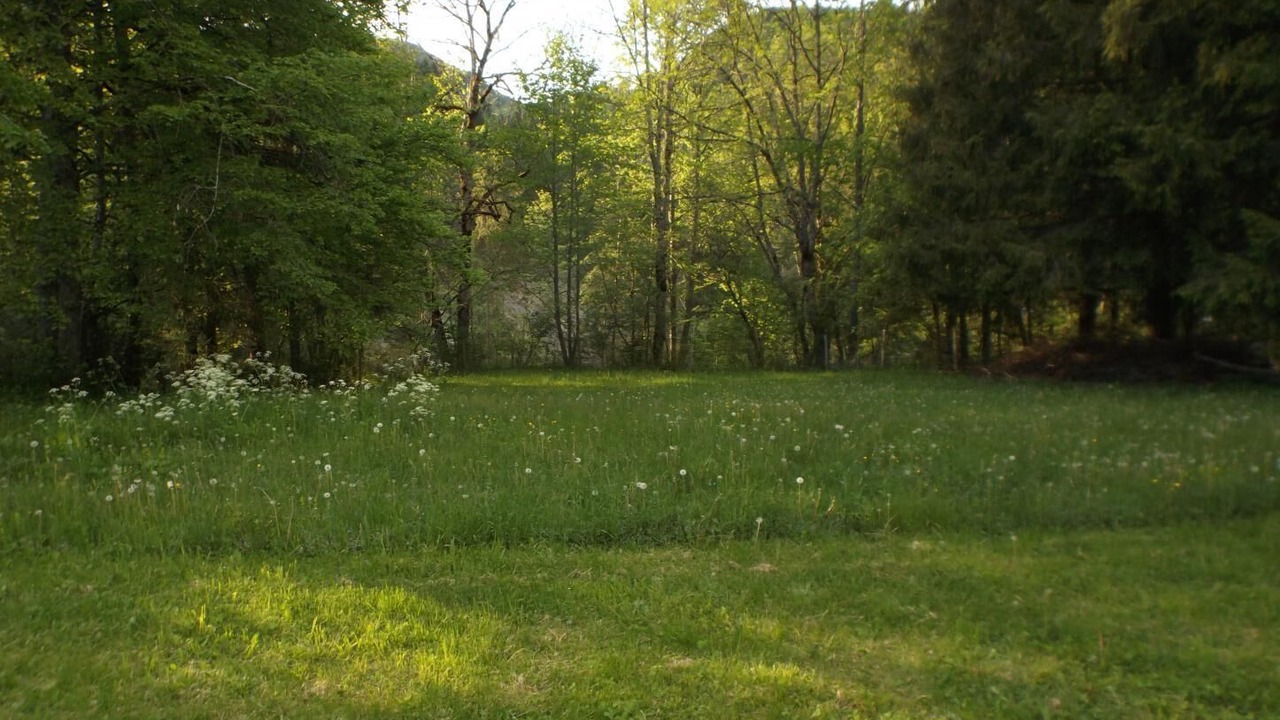 Photo of Others in Entremont-le-Vieux