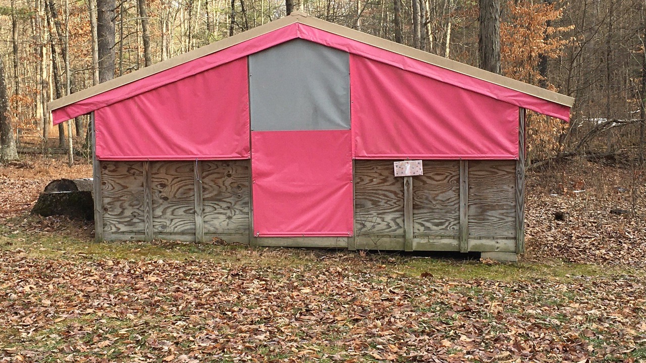 Photo of Outdoor in Petersburg
