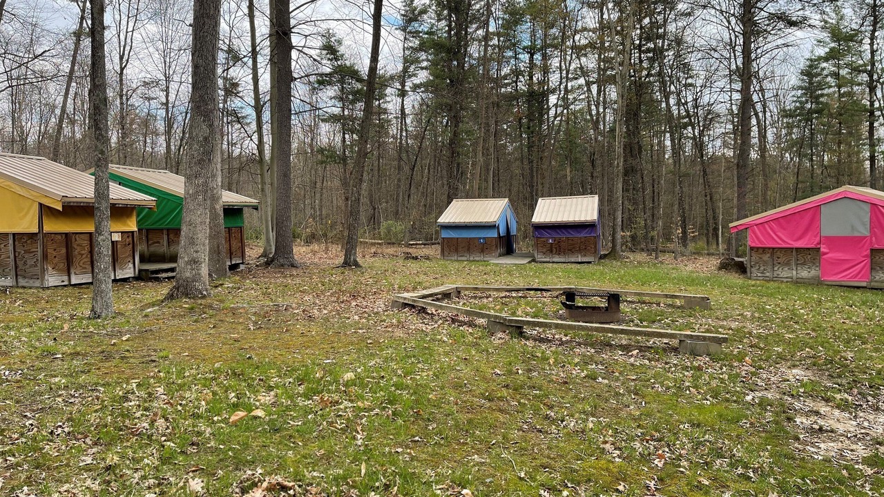 Photo of Outdoor in Petersburg