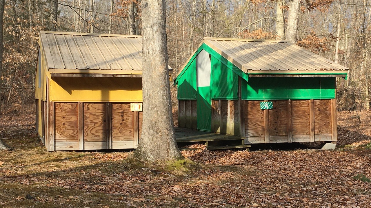 Photo of Outdoor in Petersburg