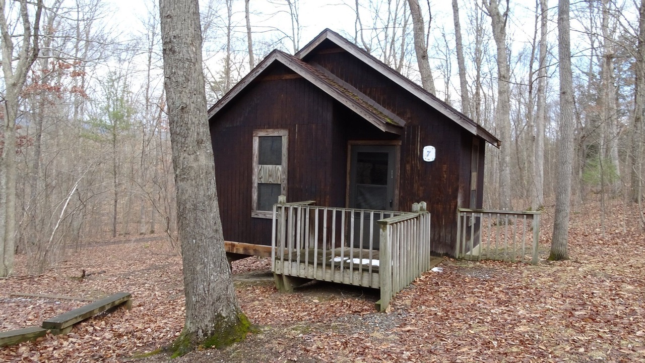 Photo of Outdoor in Petersburg