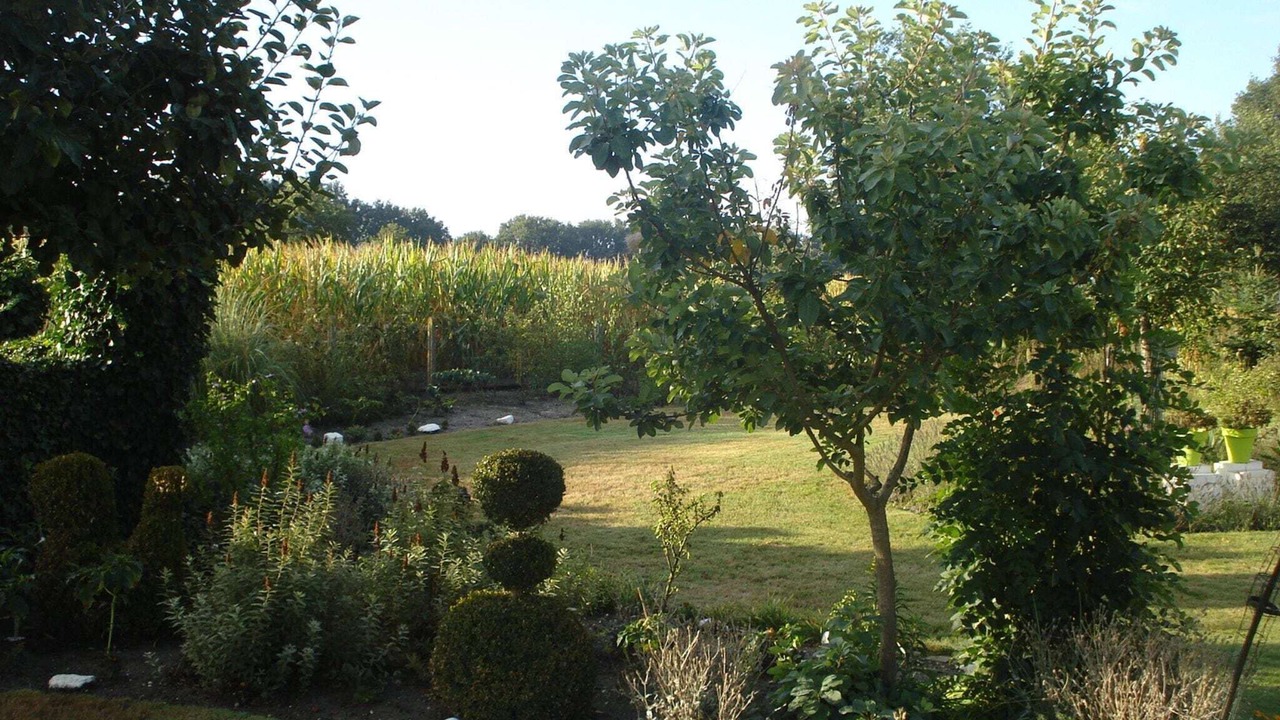Photo of Outdoor in Grote-Brogel