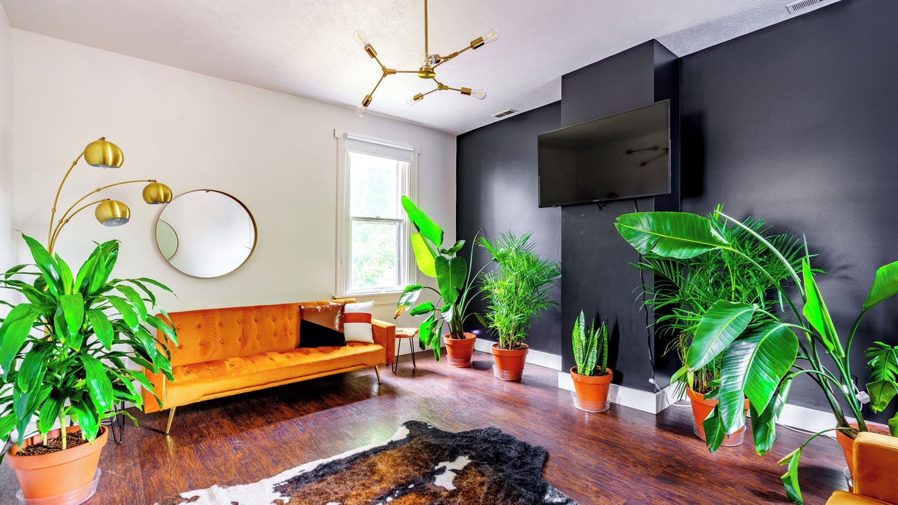 Photo of Livingroom in Chillicothe