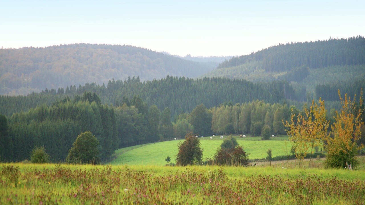 Photo of Others in Felenne