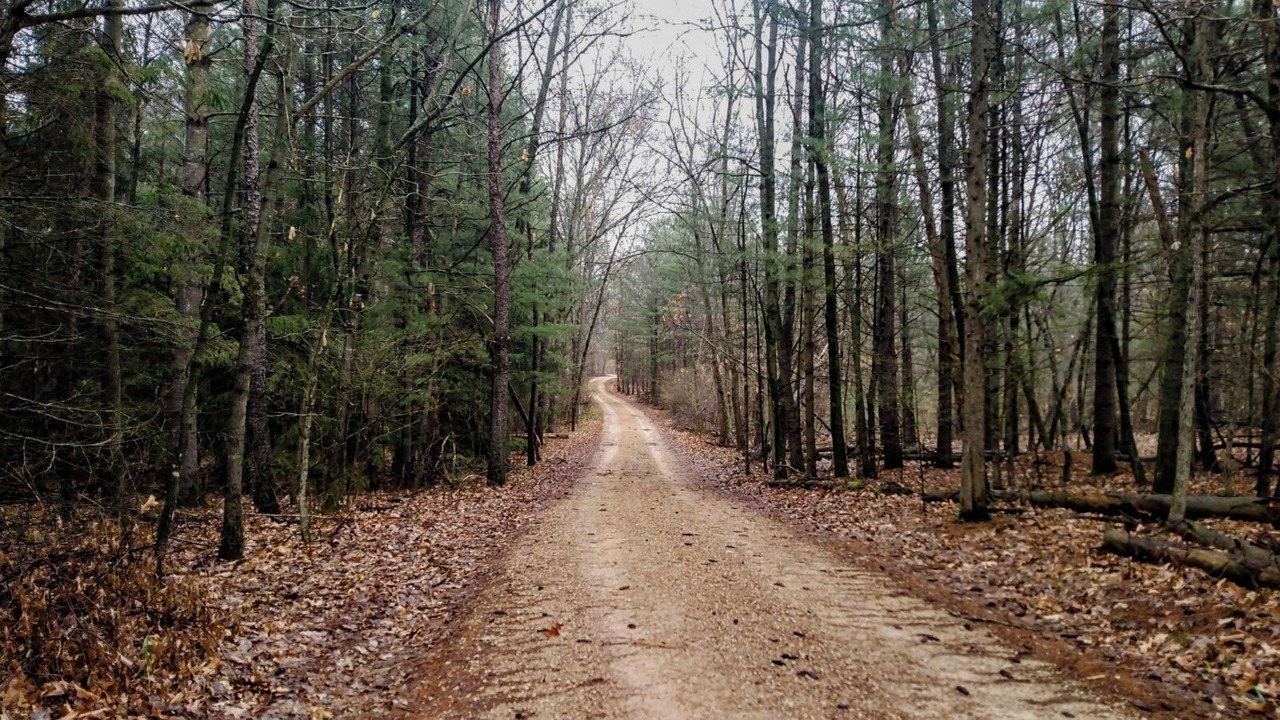 Photo of Others in Mauston