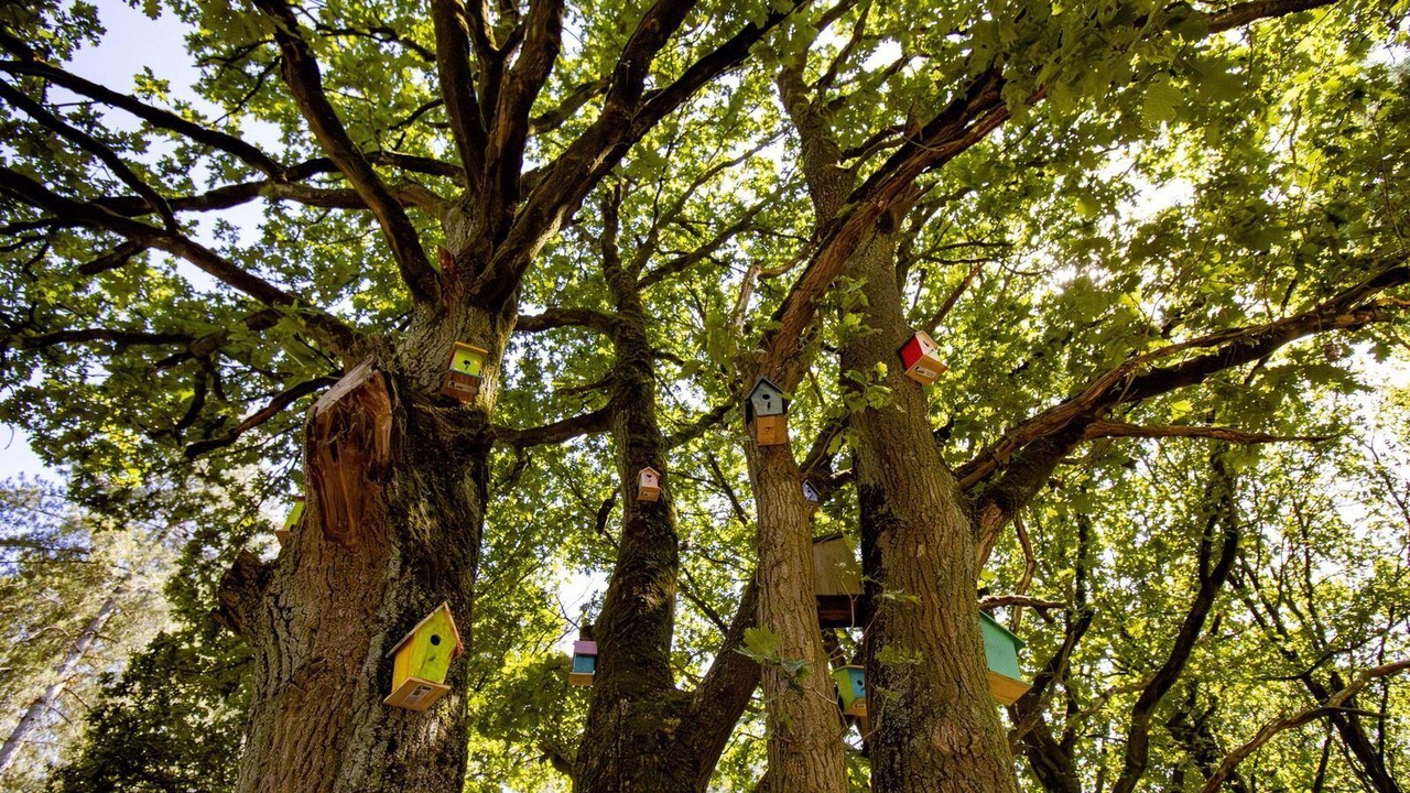 Photo of Outdoor in Maaseik