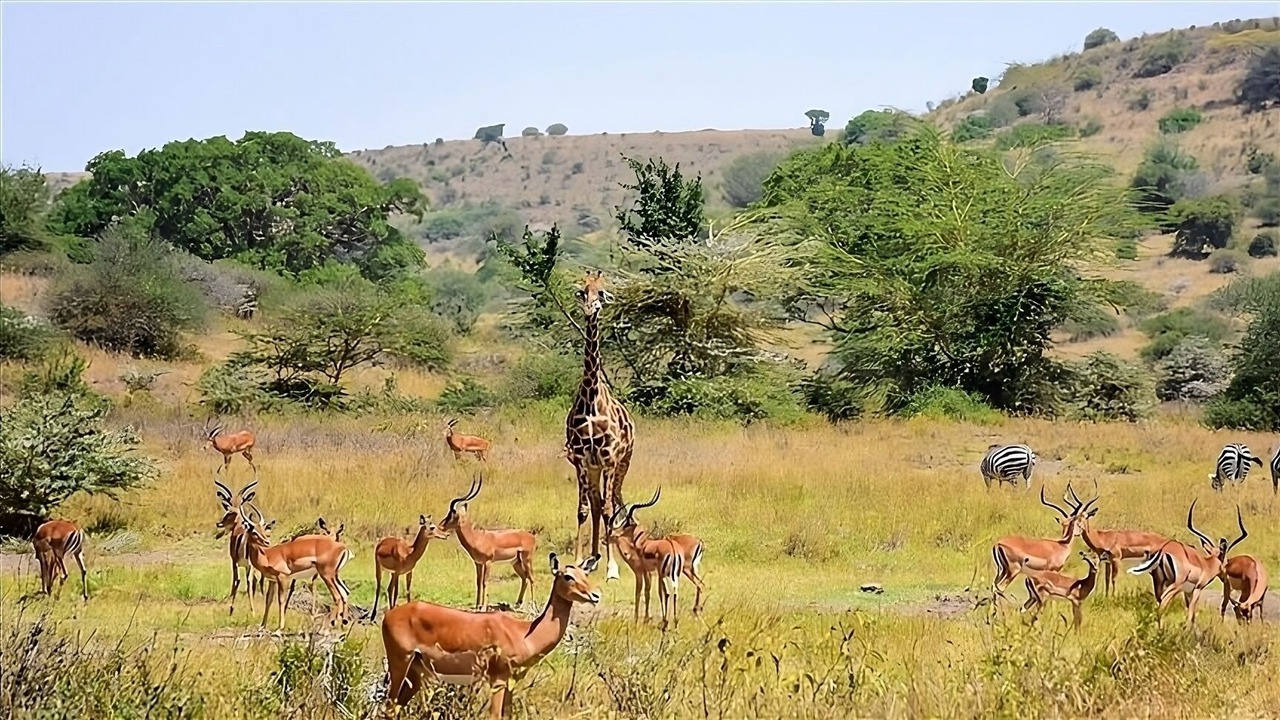 Photo of Others in Gaborone