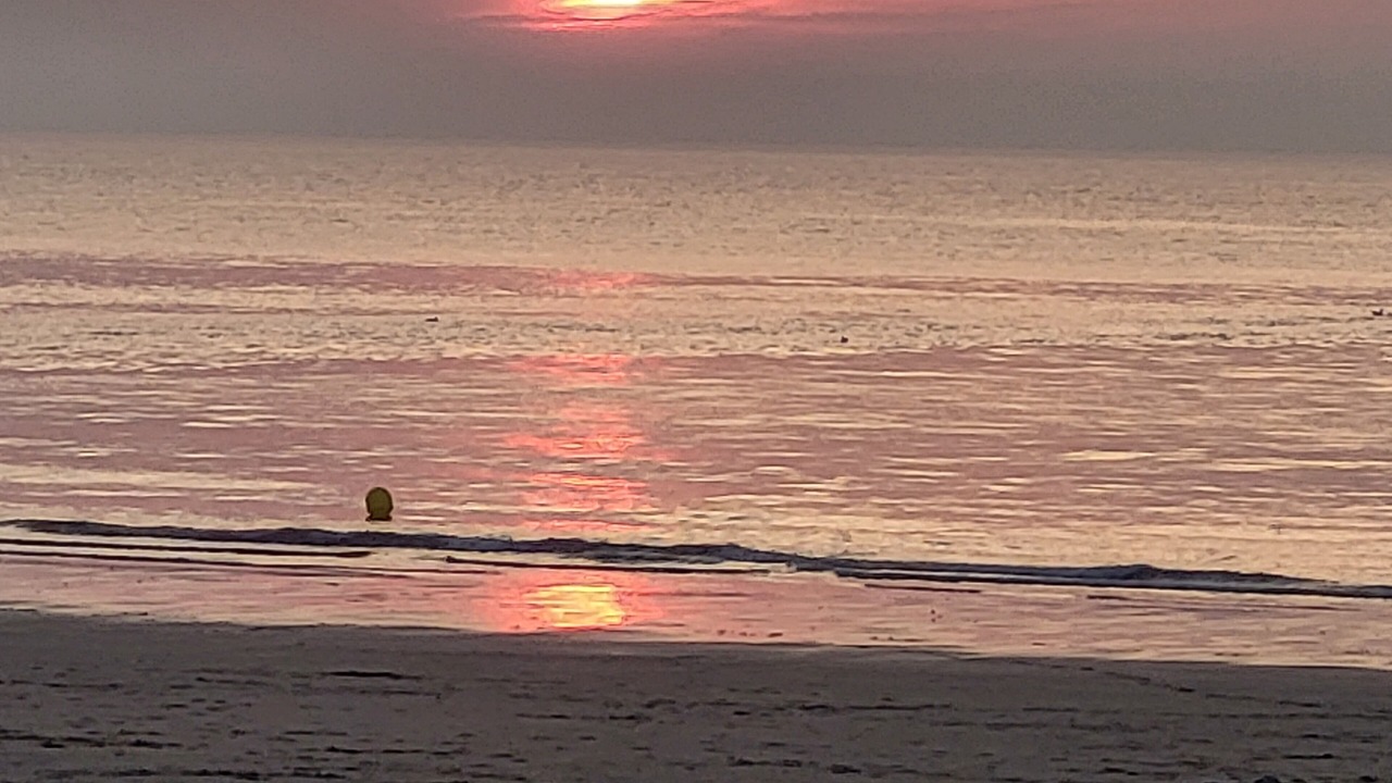 Photo of Others in Knokke
