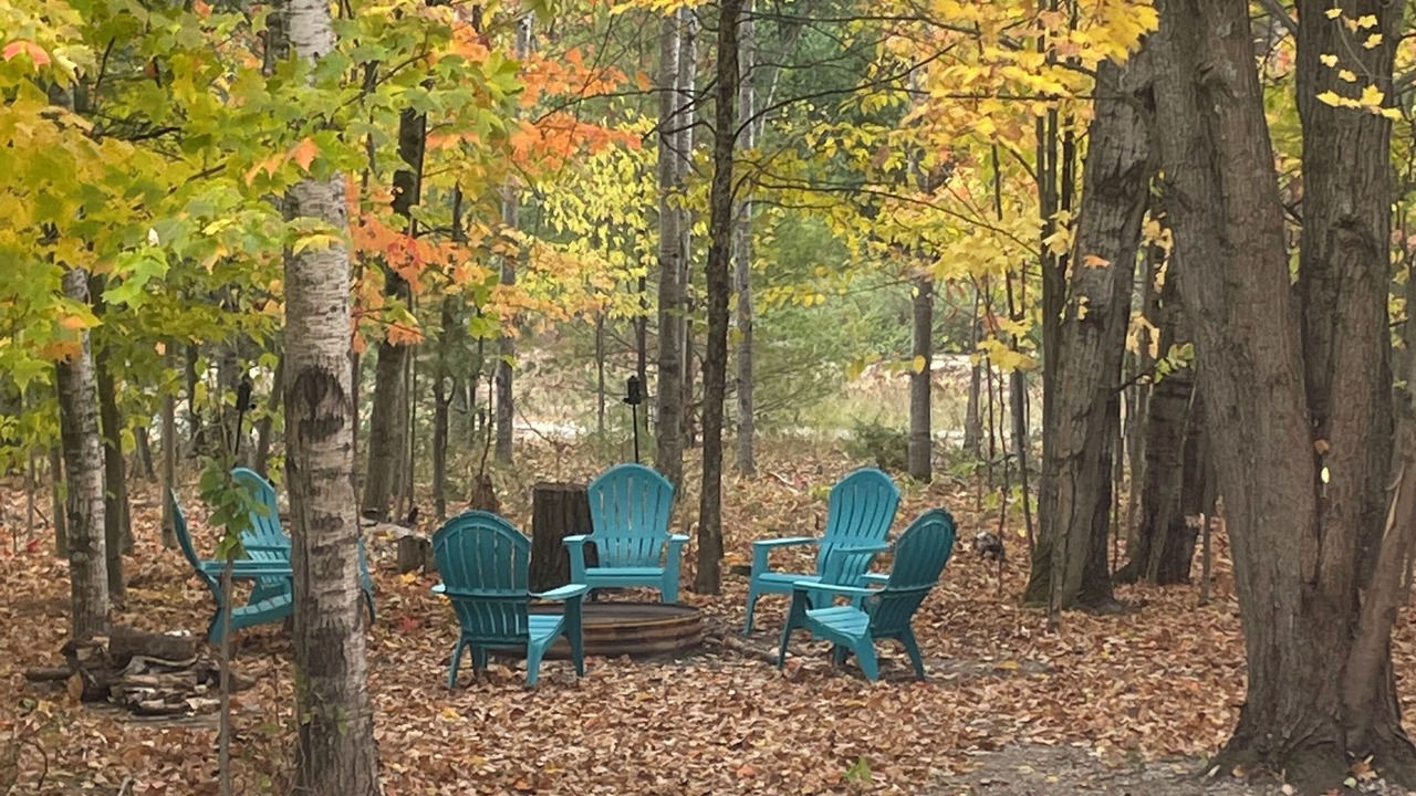 Photo of Outdoor in Alanson