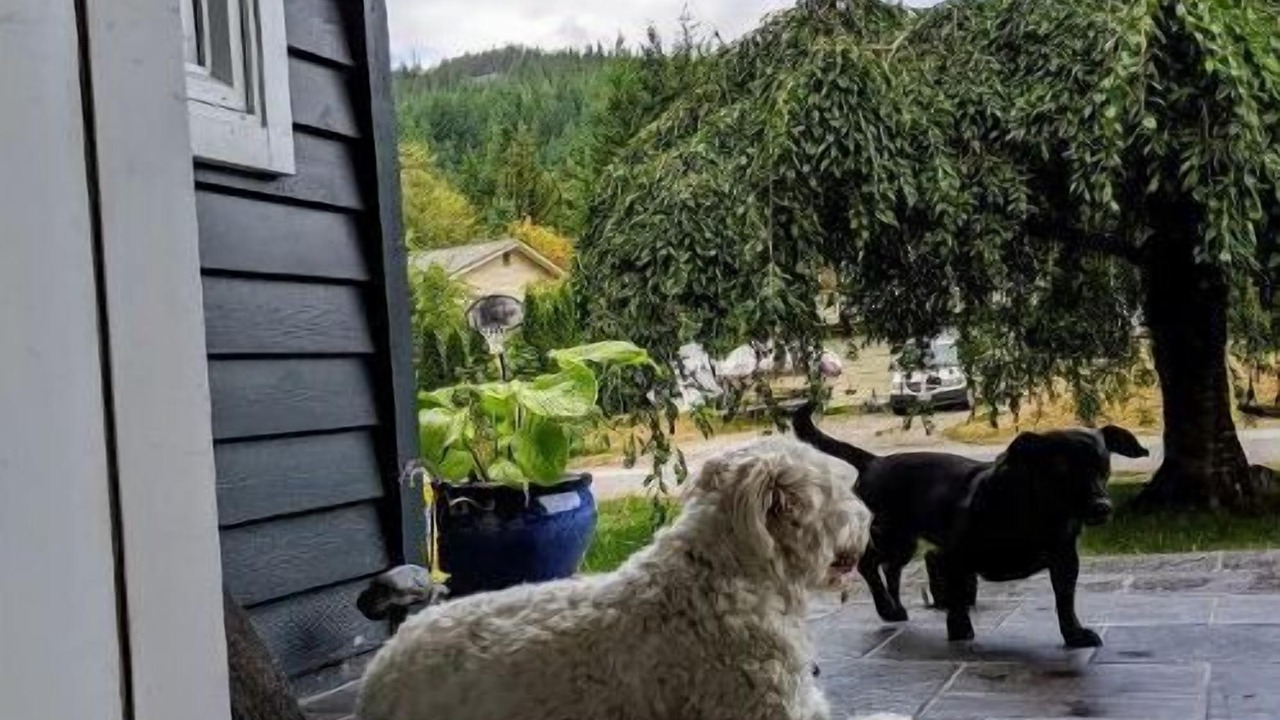 Photo of Others in Squamish