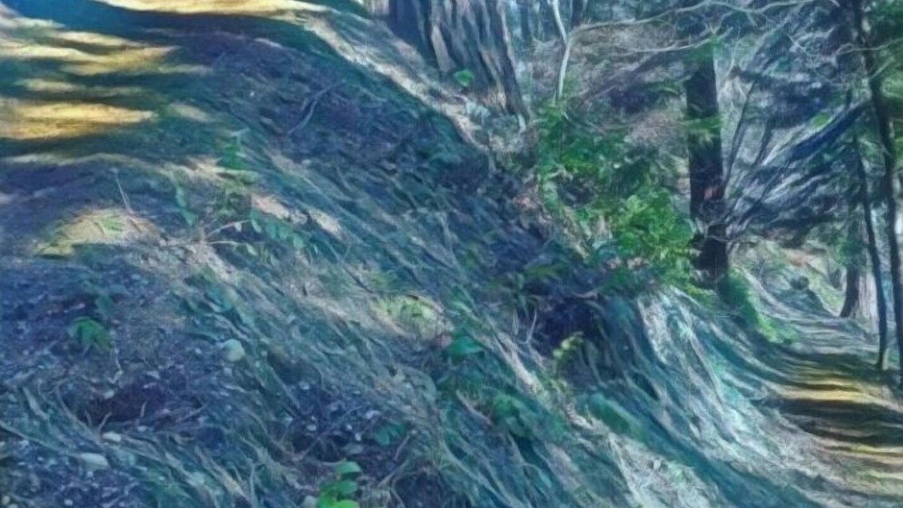 Photo of Outdoor in Squamish