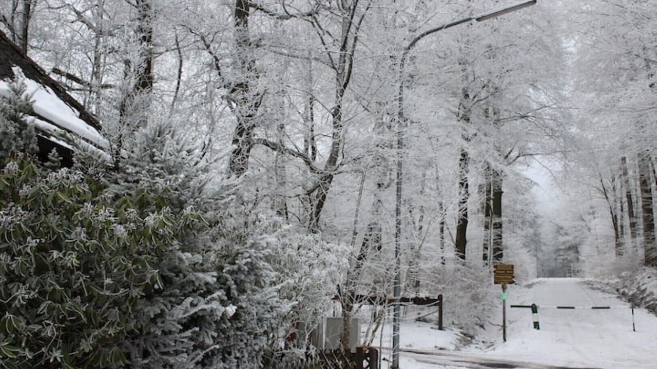 Photo of Outdoor in Bad Marienberg