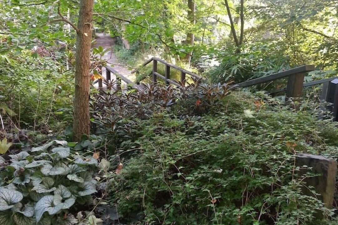 Photo of Outdoor in Bad Marienberg