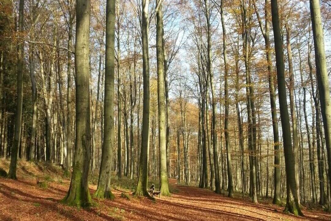 Photo of Outdoor in Bad Marienberg