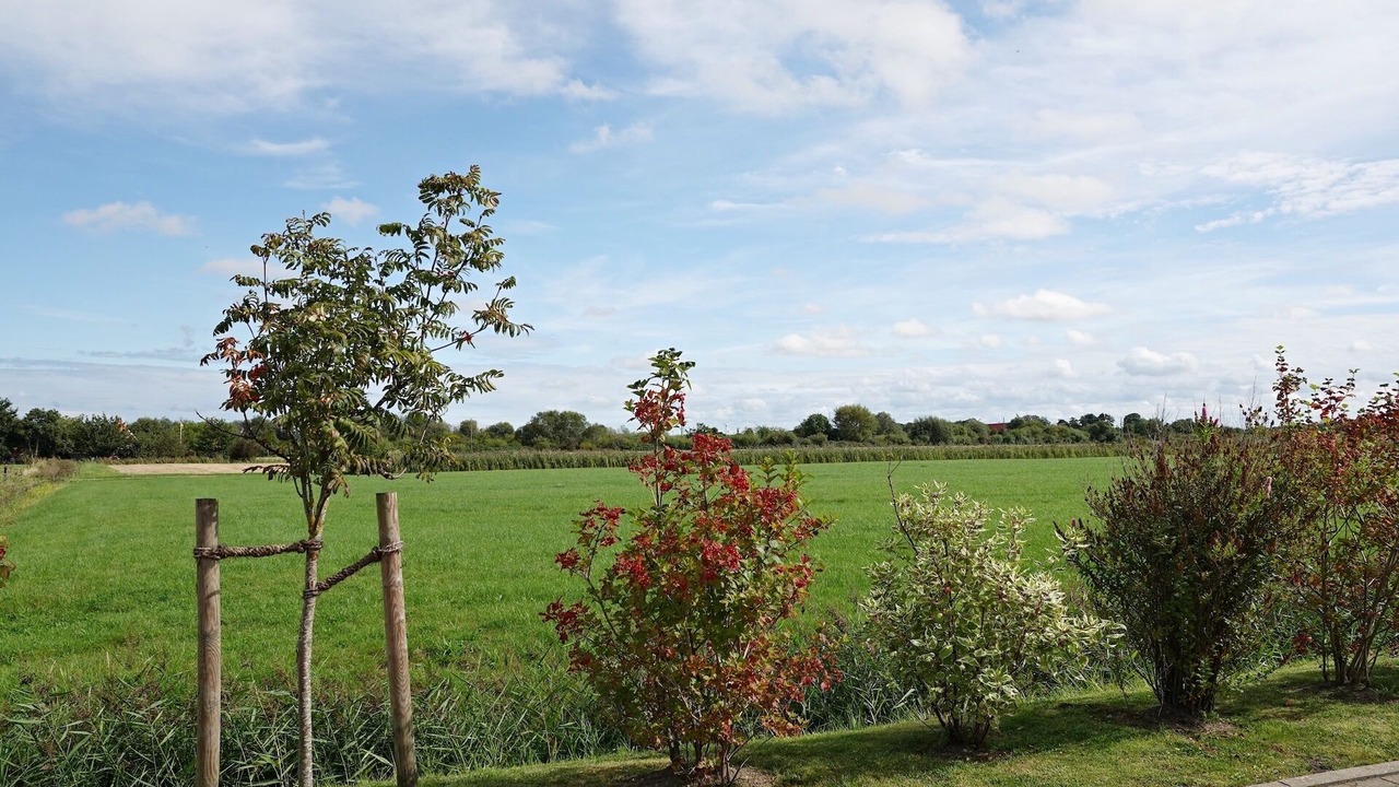 Photo of Others in Norddeich