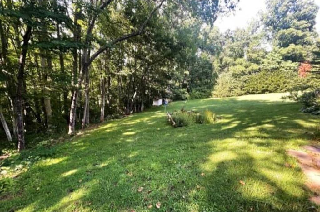 Photo of Outdoor in Weaverville