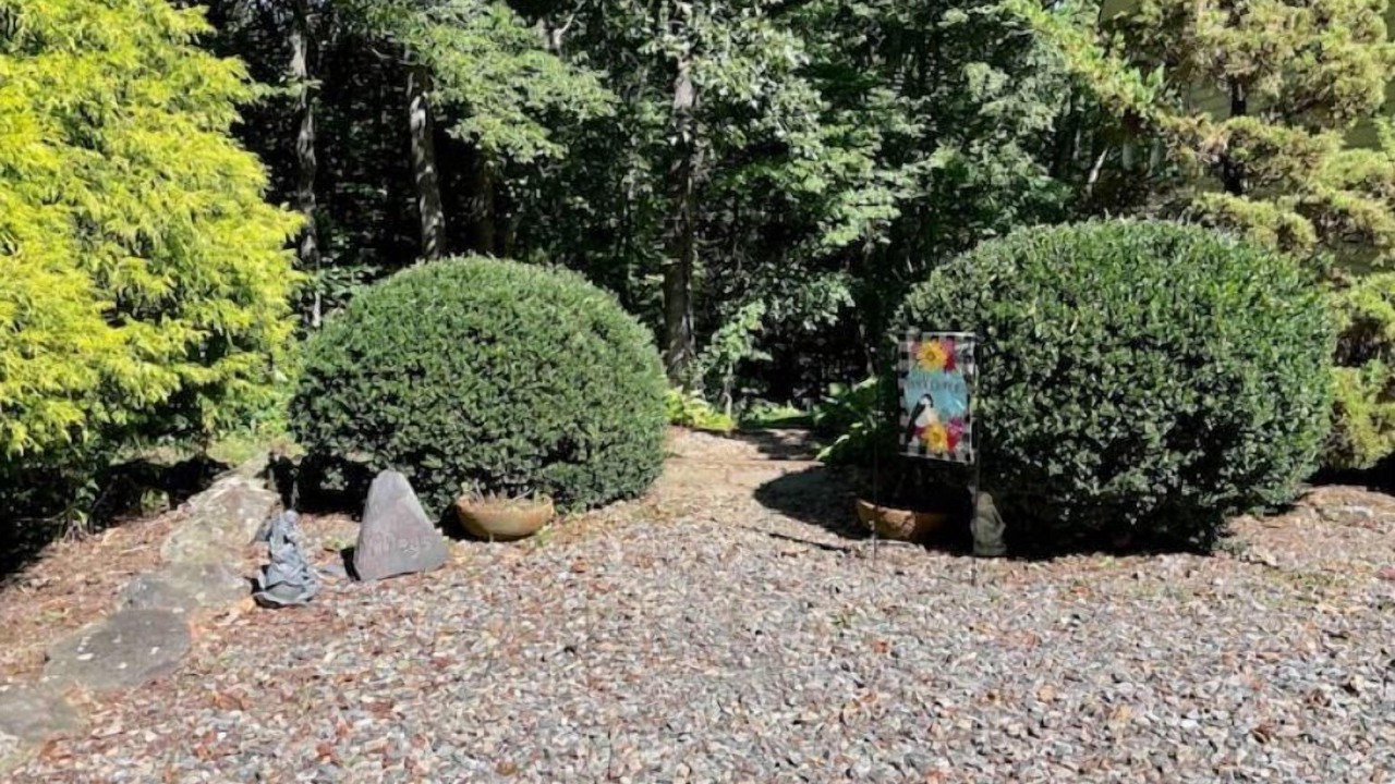 Photo of Outdoor in Weaverville