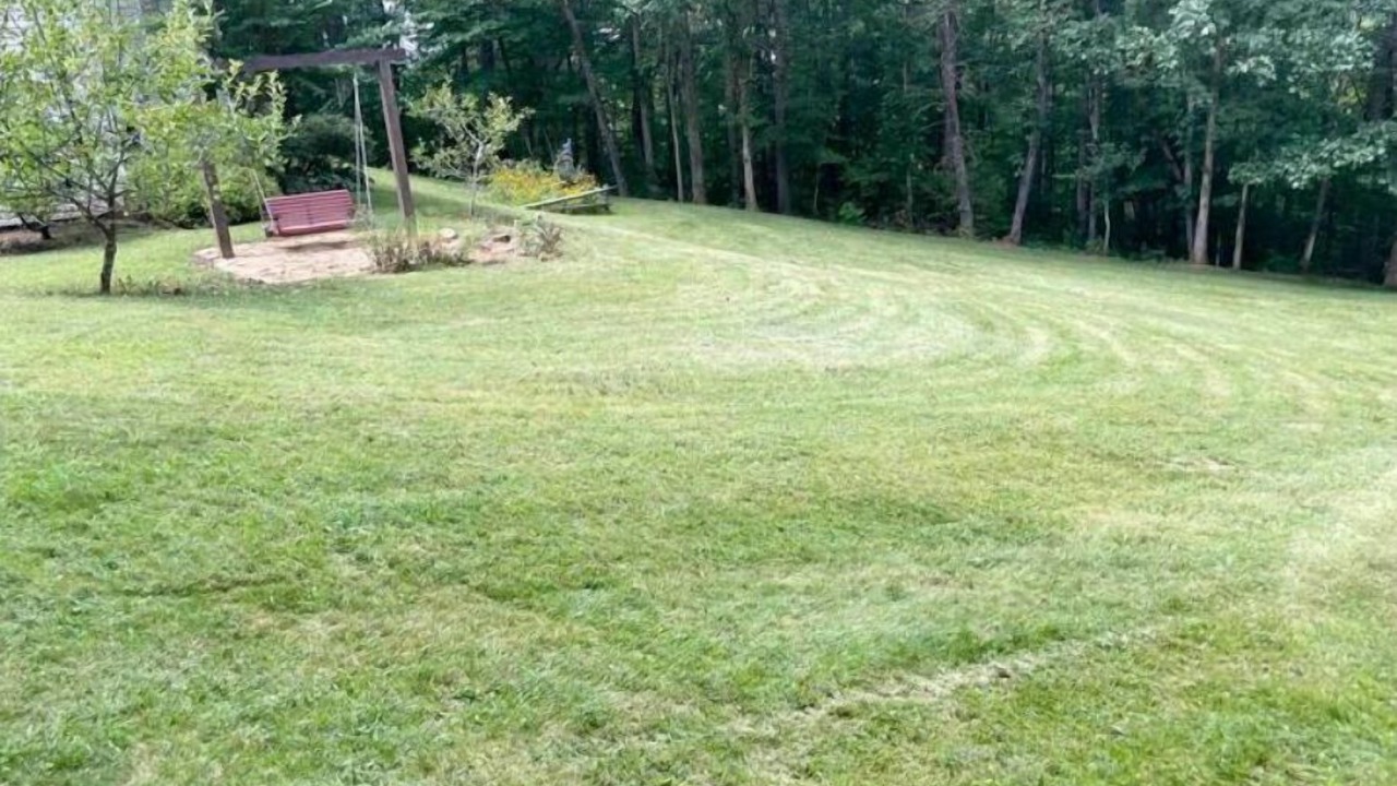 Photo of Outdoor in Weaverville
