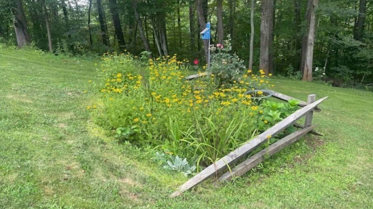 Photo of Others in Weaverville