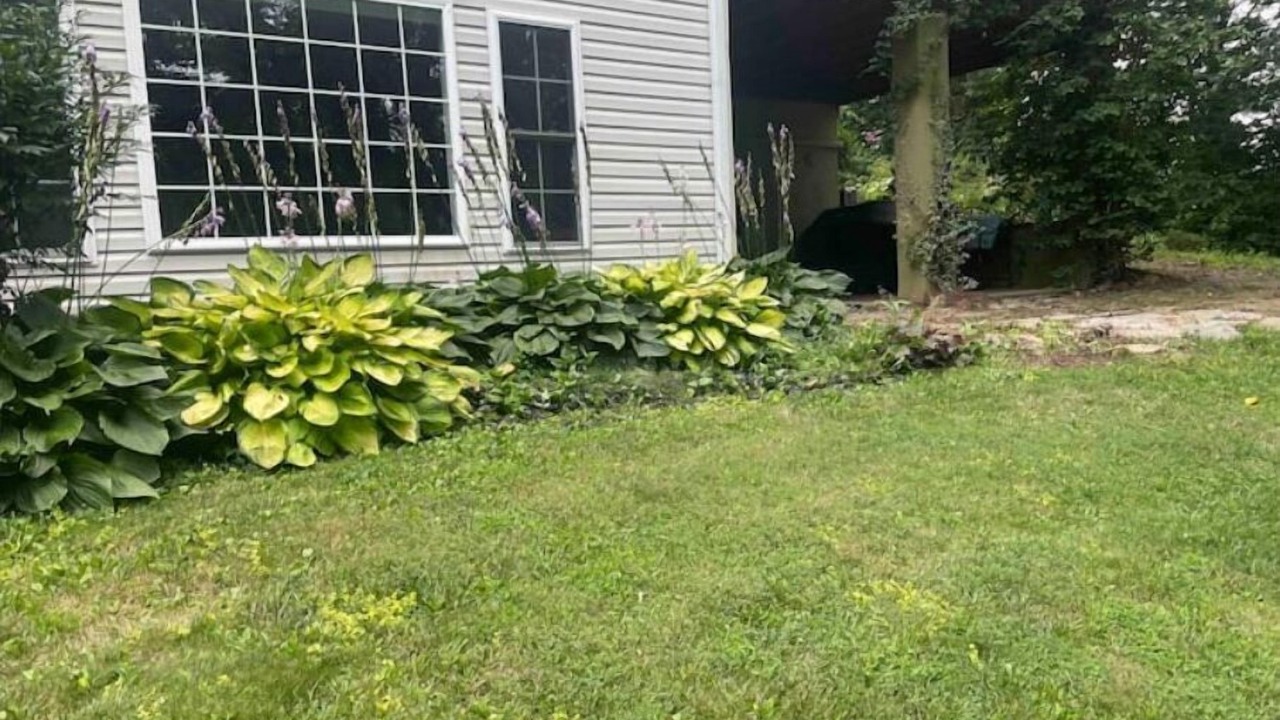Photo of Outdoor in Weaverville