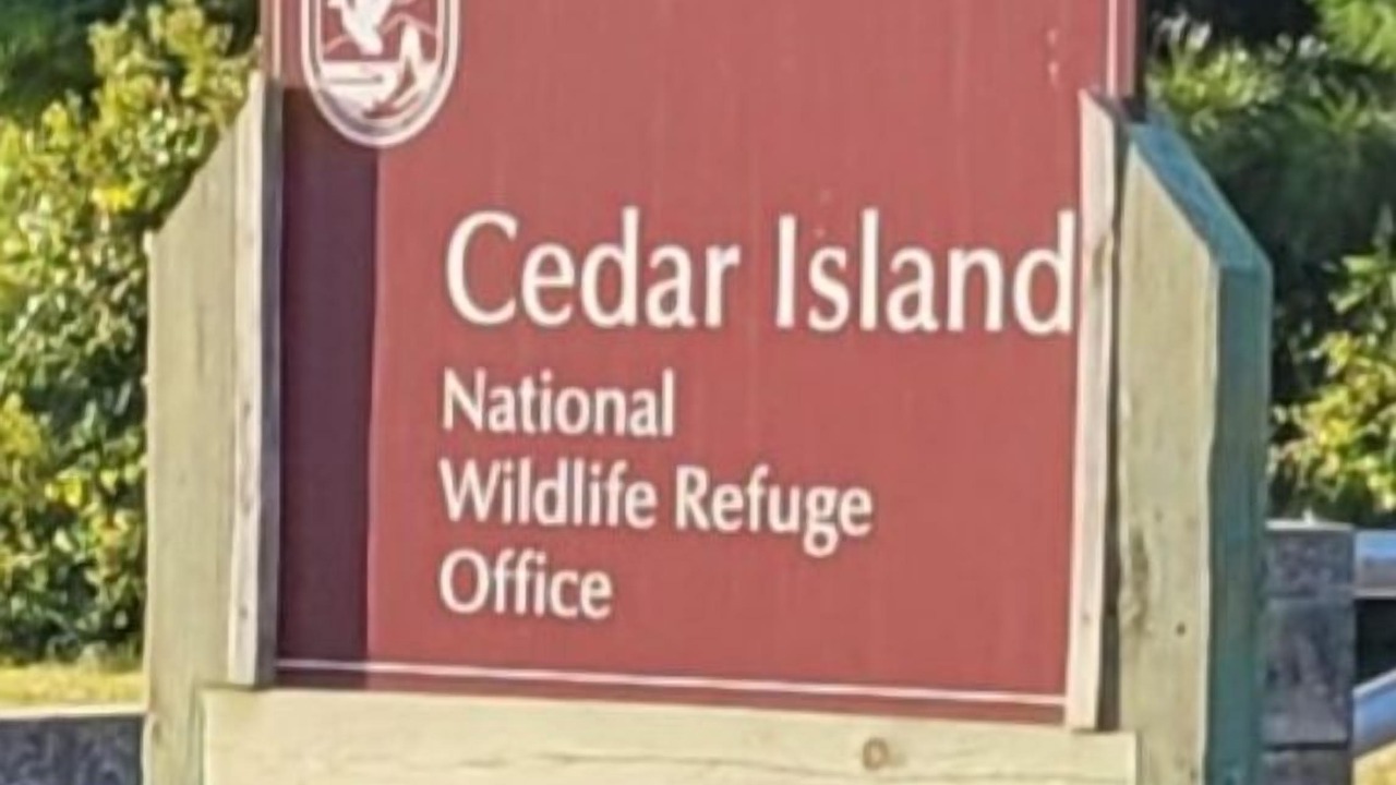 Photo of Outdoor in Sealevel