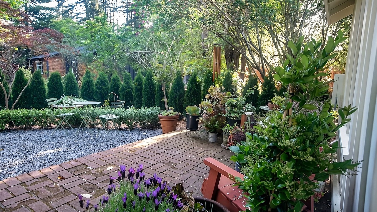 Photo of Outdoor in Guerneville