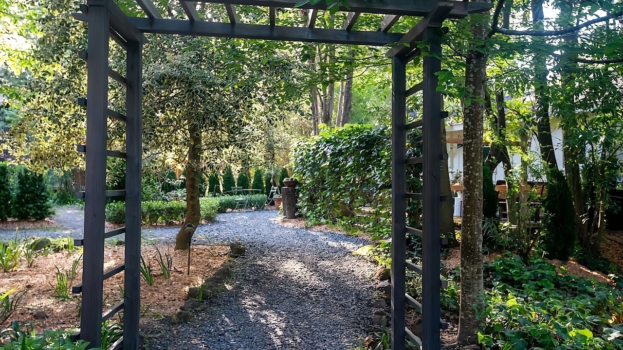 Photo of Outdoor in Guerneville