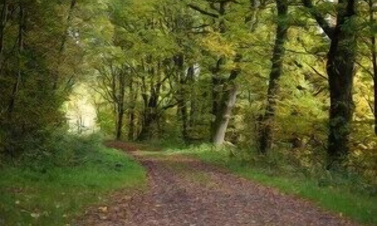 Photo of Outdoor in Bad Laasphe