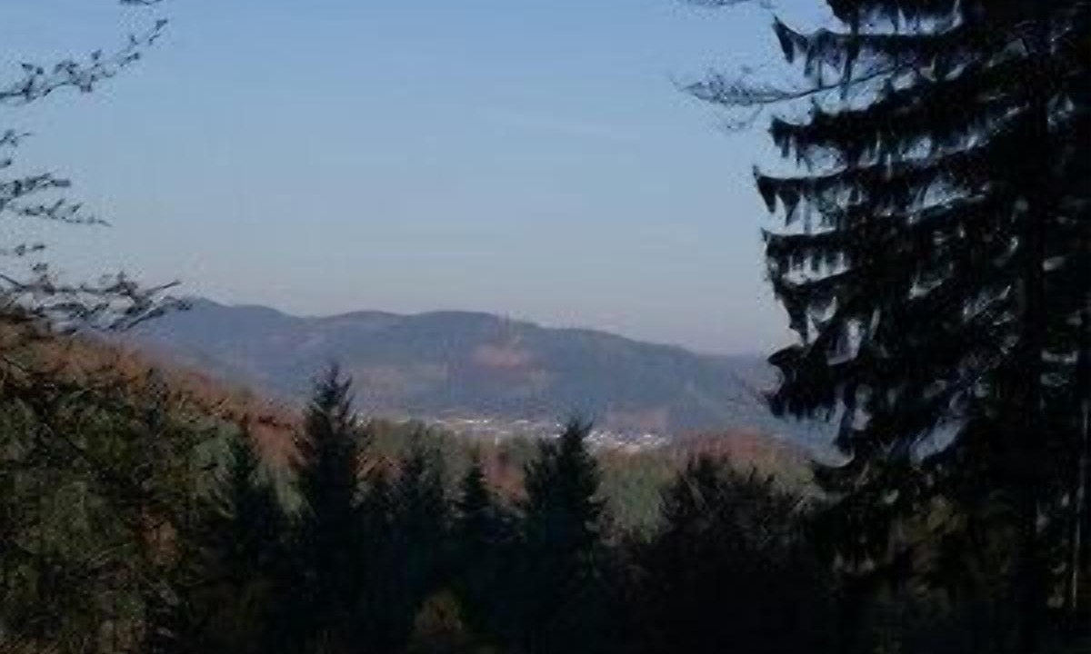 Photo of Others in Bad Laasphe