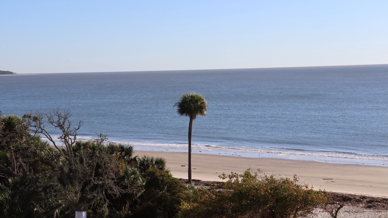 Photo of Others in Daufuskie Island