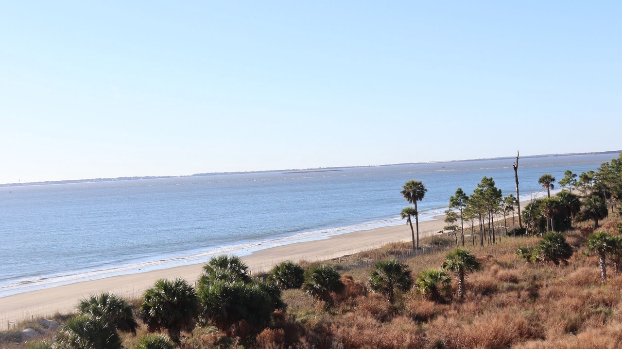 Photo of Others in Daufuskie Island