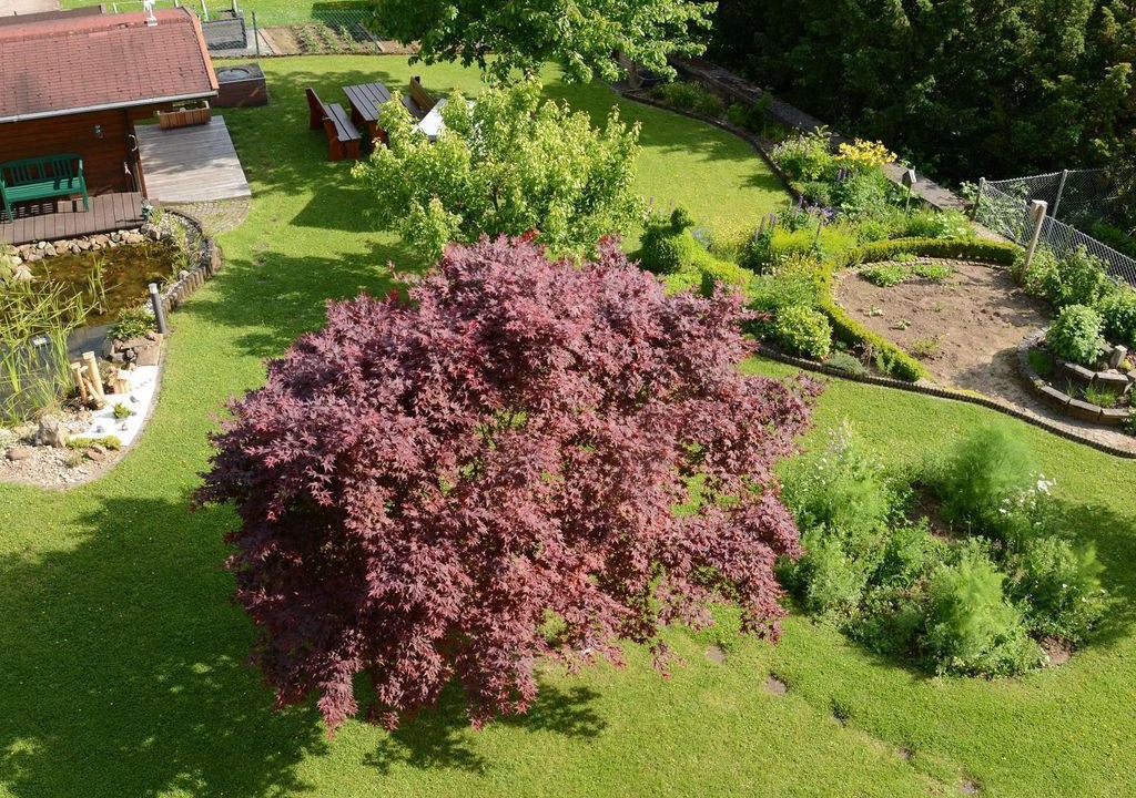 Photo of Outdoor in Bad Marienberg