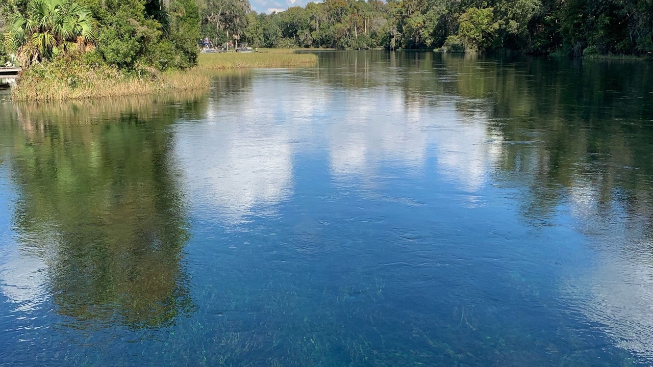 Photo of Others in Dunnellon