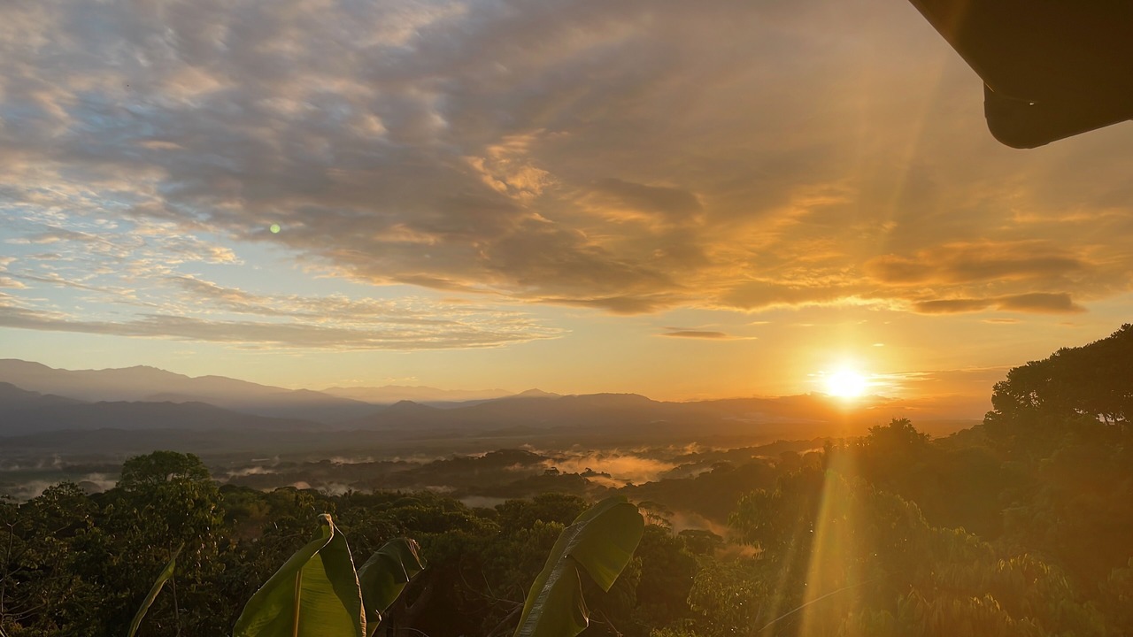 Photo of Others in Valle Pura Vida