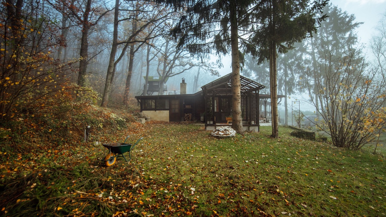 Photo of Outdoor in Sevry