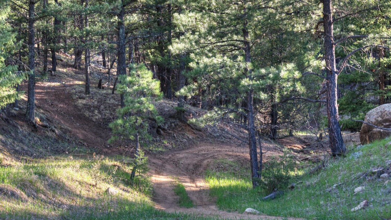 Photo of Outdoor in Weston