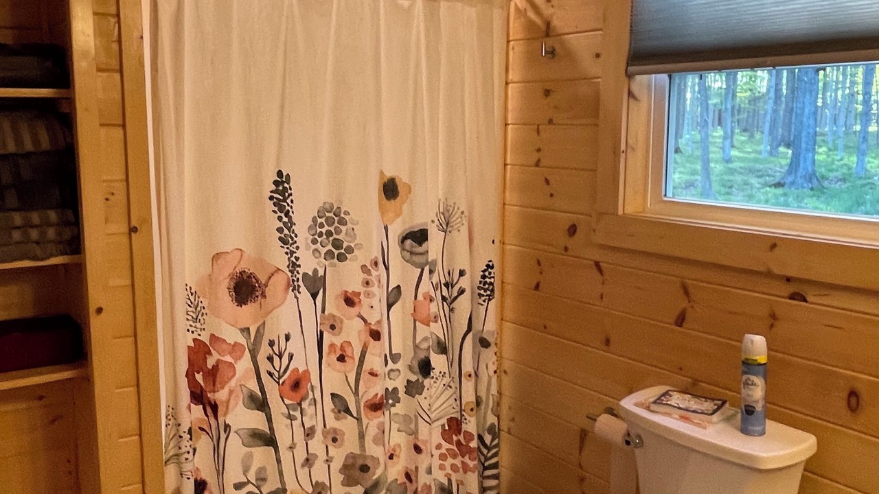 Photo of Bathroom in Charlevoix