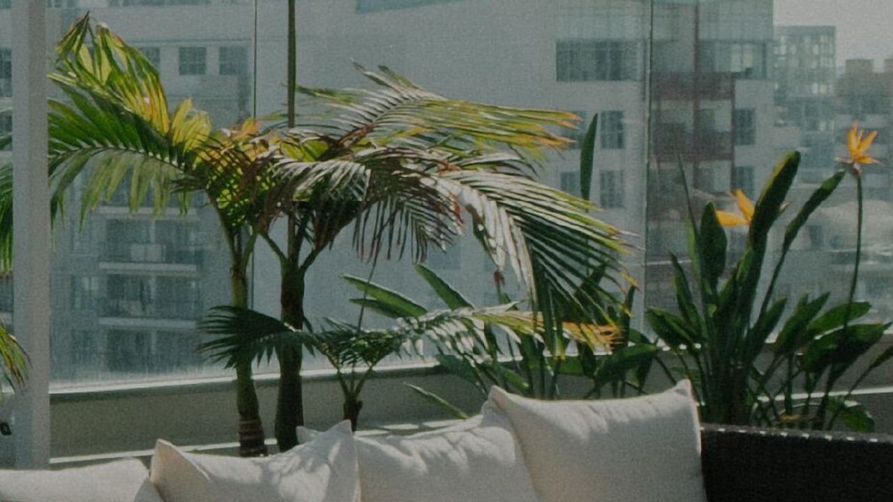 Photo of Outdoor in Miramar