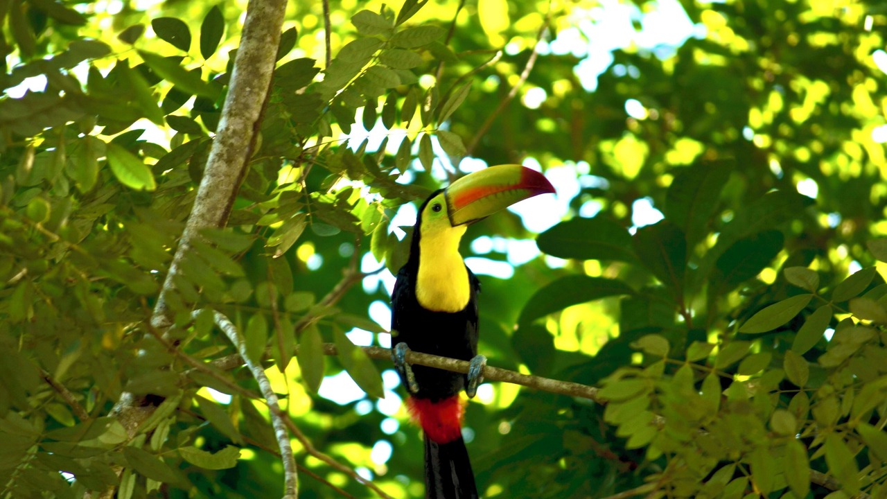 Photo of Others in San Ignacio