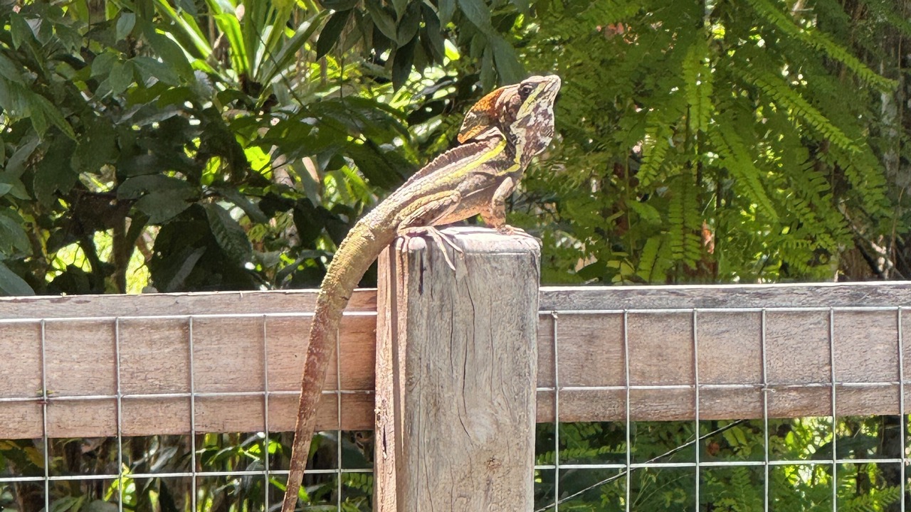 Photo of Others in San Ignacio