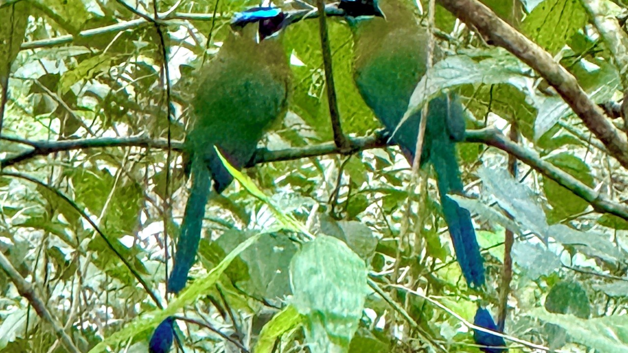 Photo of Others in San Ignacio