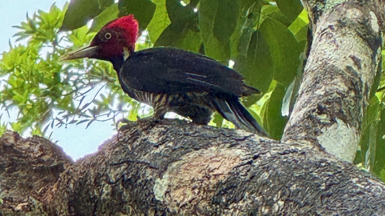 Photo of Others in San Ignacio