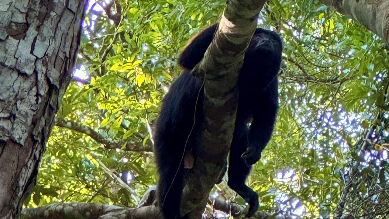 Photo of Others in San Ignacio