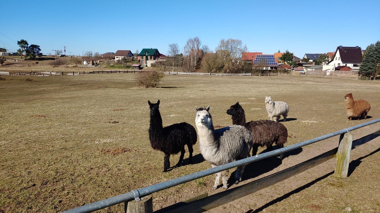 Photo of Others in Joachimsthal