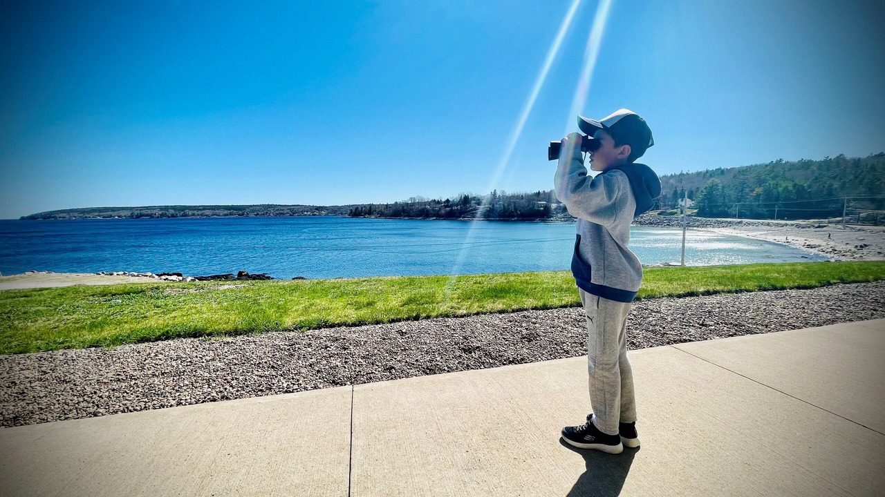 Photo of Others in Mill Cove